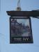 Picture of The Ivy