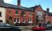 Picture of The Old Lion