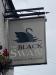 Picture of The Black Swan