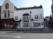 Picture of Bay Horse