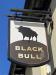 Picture of Black Bull