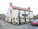 The Grey Horse