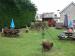 Picture of Penybryn Arms
