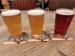 Picture of Tenby Harbwr Brewery Tap & Kitchen