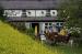Picture of The Rising Sun Inn
