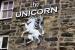 Picture of The Unicorn / Yr Unicorn