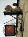 Picture of Golden Lion