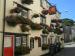 Picture of Golden Lion