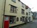 Picture of Golden Lion