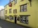 Picture of Golden Lion
