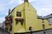 Picture of Golden Lion