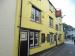 Picture of Golden Lion