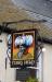 Picture of Turks Head