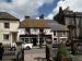 Picture of Turks Head