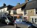 Picture of Turks Head