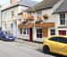 Picture of Turks Head