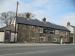 The Plume Of Feathers