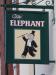 Picture of The Elephant
