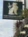 Picture of The Golden Lion