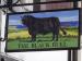 Picture of Black Bull Inn
