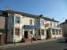 Picture of The Speedwell