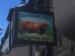 Picture of The Brown Bull