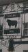 Picture of Black Bull