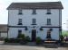 Picture of Black Bull