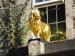 Picture of Cronies Bar (The Golden Lion)