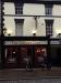 Picture of Golden Lion