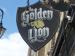 Picture of Golden Lion