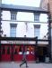 Picture of Golden Lion