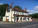 Picture of Old White Horse