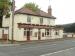 Picture of Old White Horse