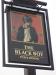 Picture of The Black Boy