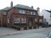 Picture of Golden Lion