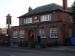 Picture of Golden Lion