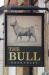 Picture of The Little Bull