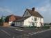 Picture of Elm Tree