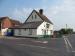 Picture of Elm Tree