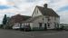 Picture of Elm Tree