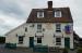 Picture of Elm Tree