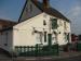 Picture of Elm Tree