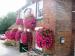 Picture of Halfway House