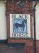 Picture of Black Horse