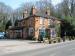 The Rose & Olive Branch