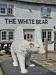 Picture of The White Bear