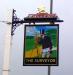 Picture of The Surveyor