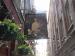 Picture of The Nell Gwynne