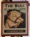Picture of King's Bull